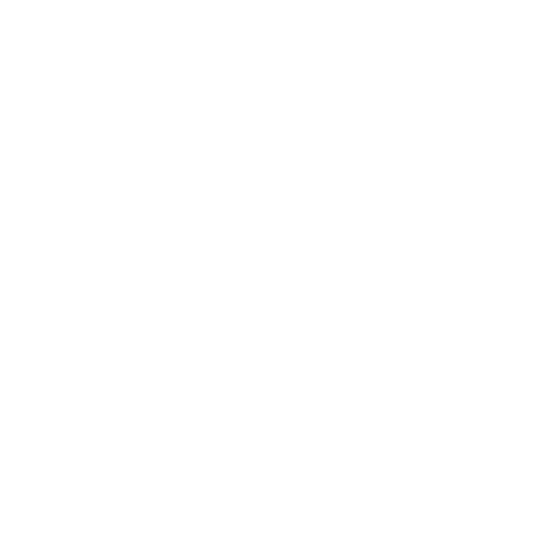 white-apple-icon